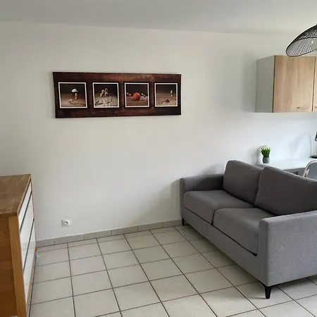 Apartment Studio Calme, Parking, Wifi, Netflix Colmar